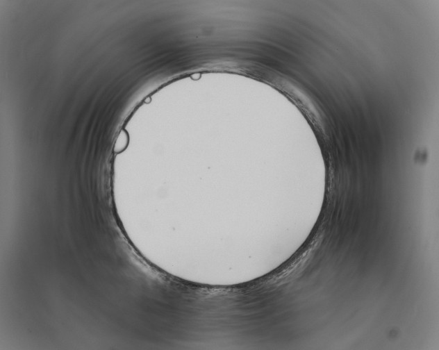 X0000094360808200711301424