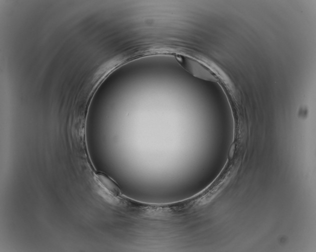 X0000094360809200711301424
