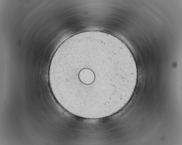 X0000094360810200711301424