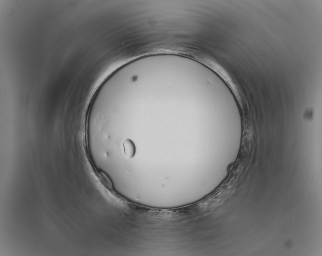 X0000094360811200711301424