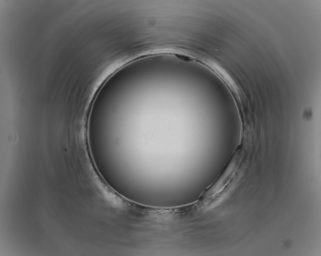 X0000094360813200711301424