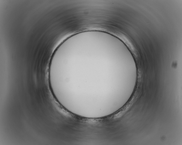 X0000094360814200711301424