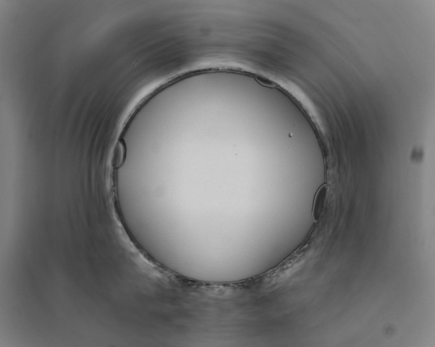 X0000094360815200711301424