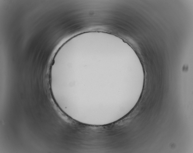 X0000094360816200711301424