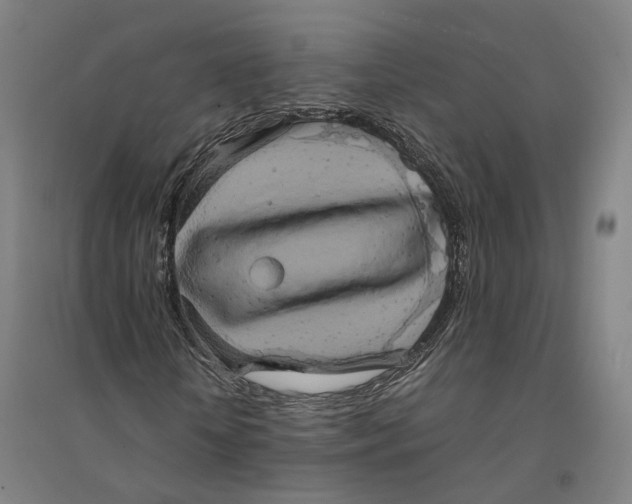 X0000094360818200711301423