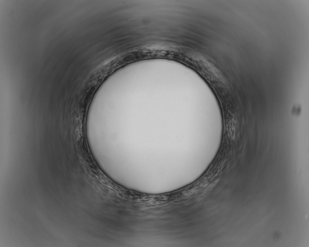 X0000094360821200711301423