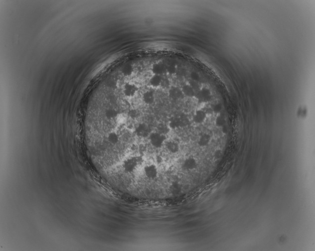 X0000094360823200711301423