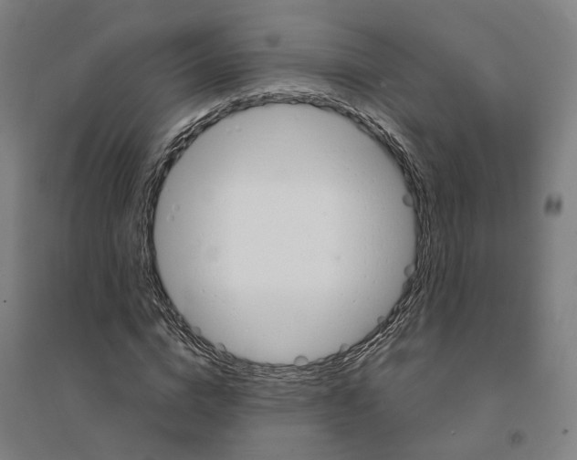 X0000094360824200711301423