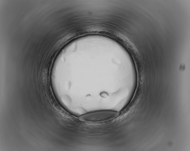 X0000094360825200711301423