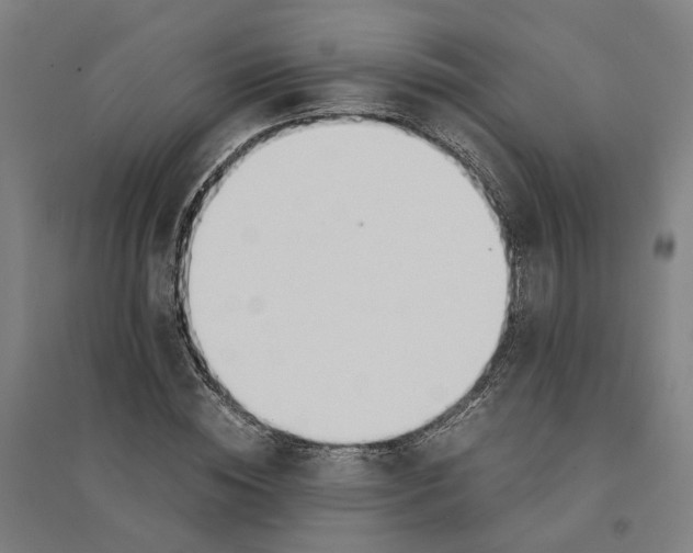 X0000094360828200711301423
