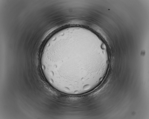 X0000094360829200711301423