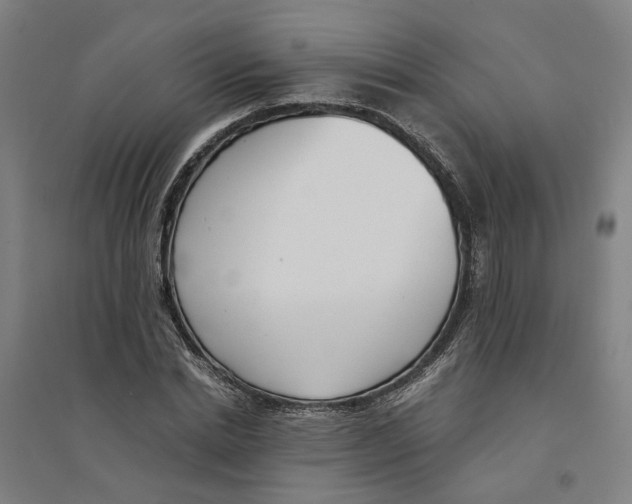 X0000094360830200711301423