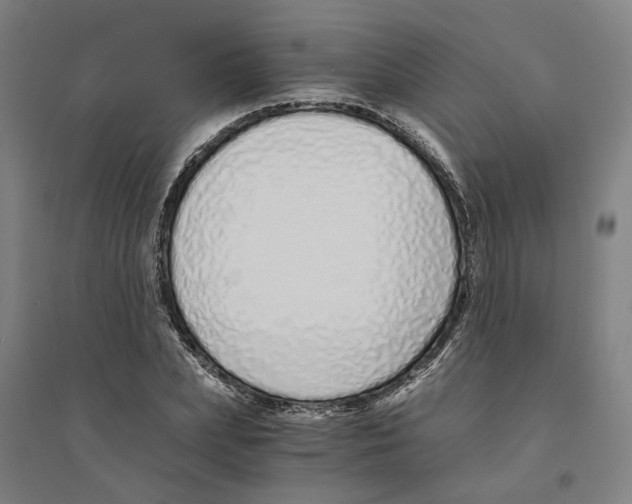 X0000094360831200711301423