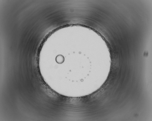 X0000094360832200711301423