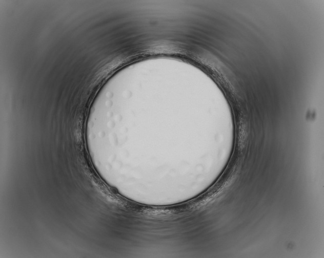 X0000094360833200711301423
