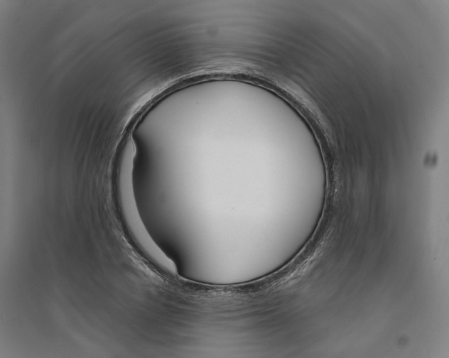 X0000094360834200711301423