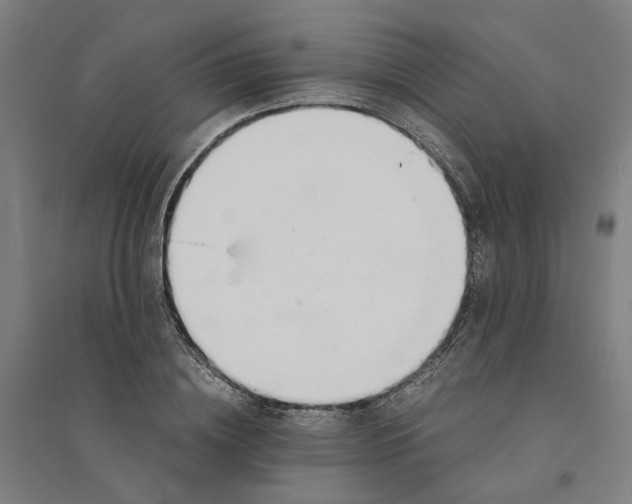 X0000094360836200711301423