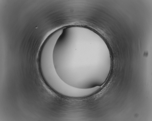 X0000094360838200711301423