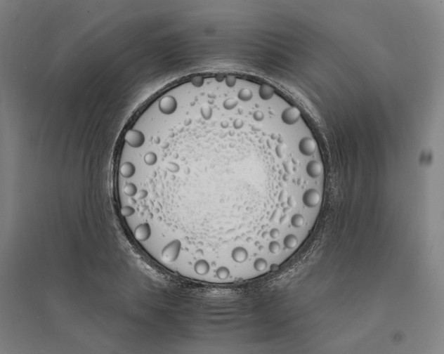 X0000094360839200711301423