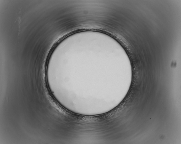 X0000094360840200711301423