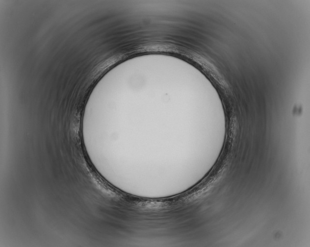X0000094360841200711301423