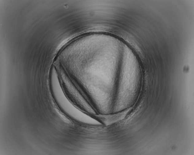 X0000094360842200711301423