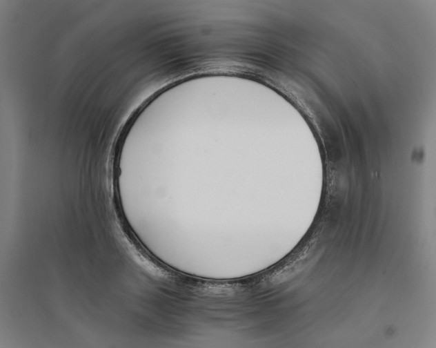 X0000094360843200711301423