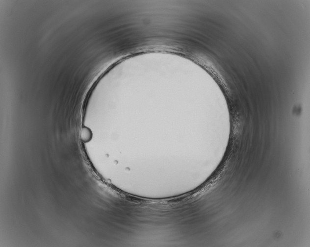 X0000094360844200711301423