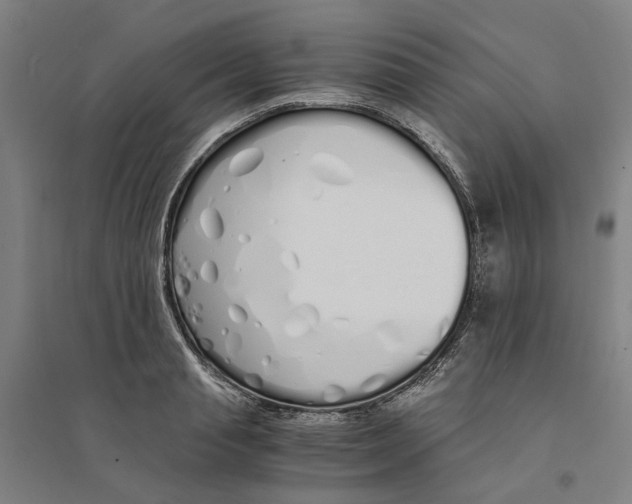 X0000094360845200711301423