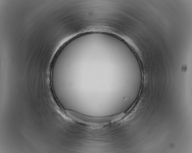 X0000094360846200711301423