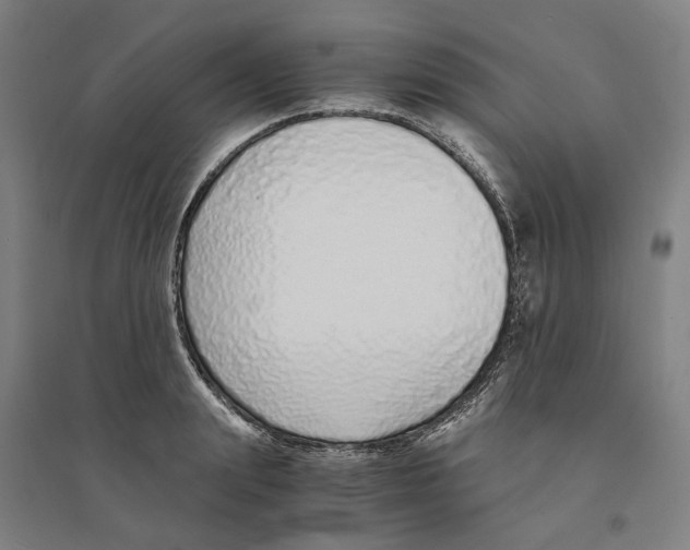 X0000094360847200711301423