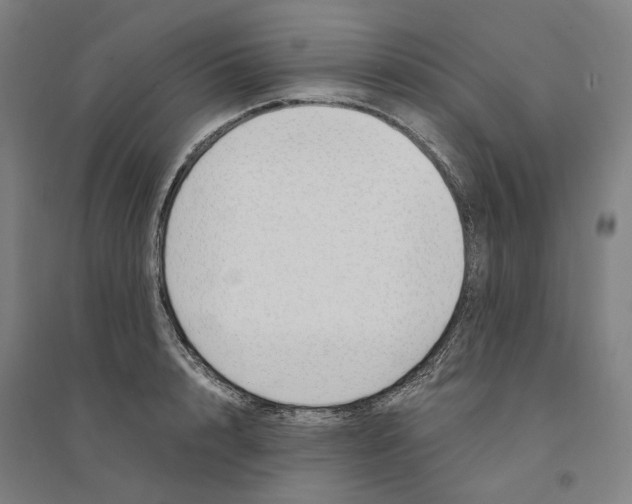 X0000094360848200711301423