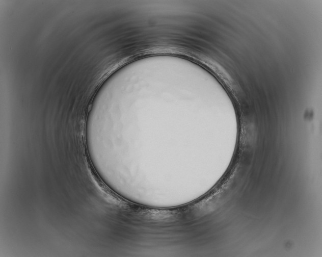 X0000094360849200711301423