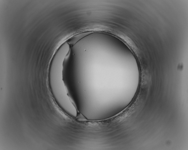 X0000094360850200711301423