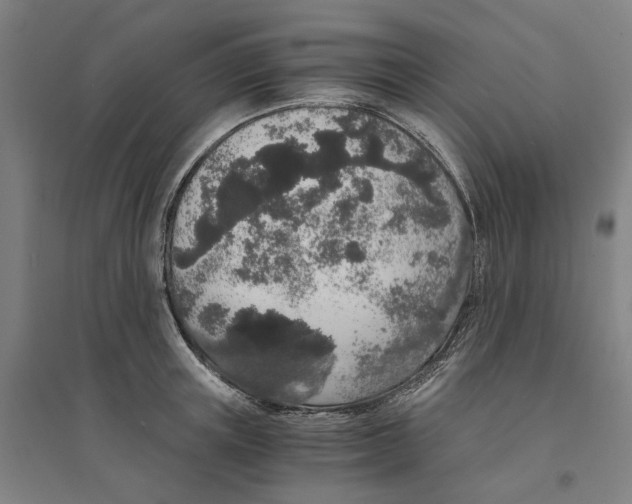 X0000094360851200711301423