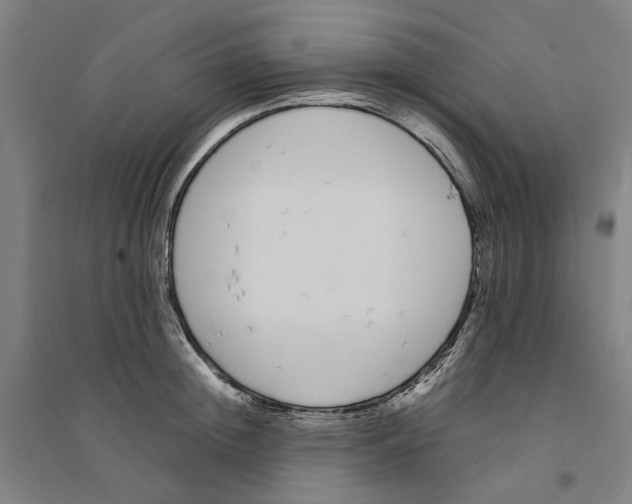 X0000094360852200711301423