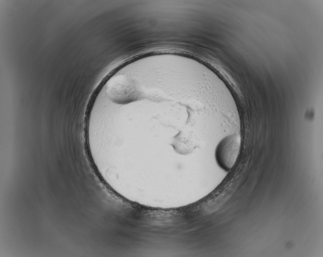X0000094360853200711301423