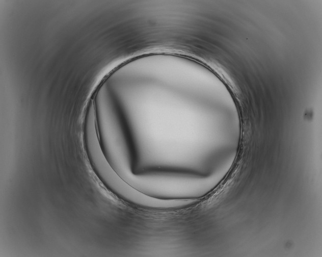 X0000094360854200711301423