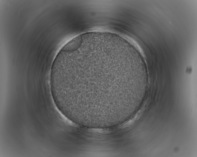 X0000094360855200711301423