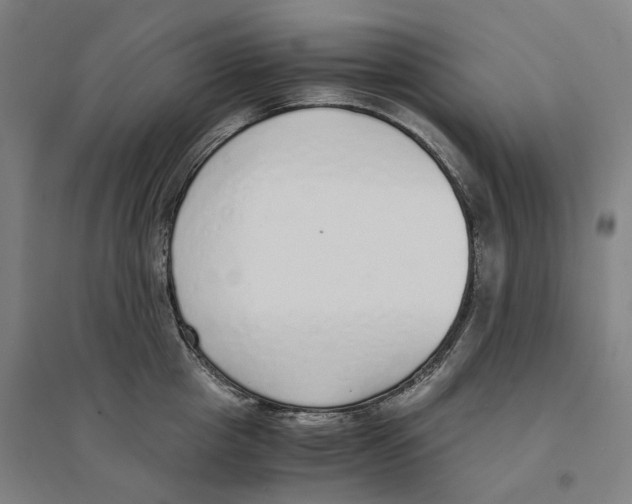 X0000094360857200711301423