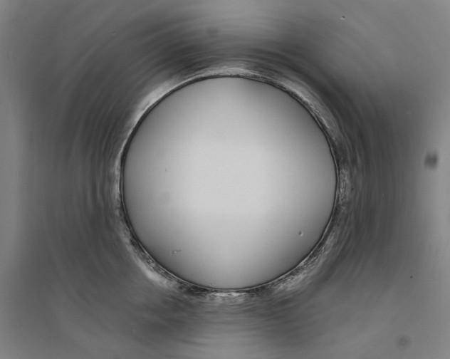 X0000094360858200711301423