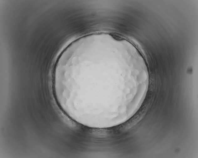 X0000094360859200711301423