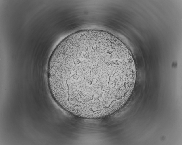 X0000094360863200711301424