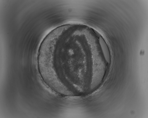 X0000094360864200711301424