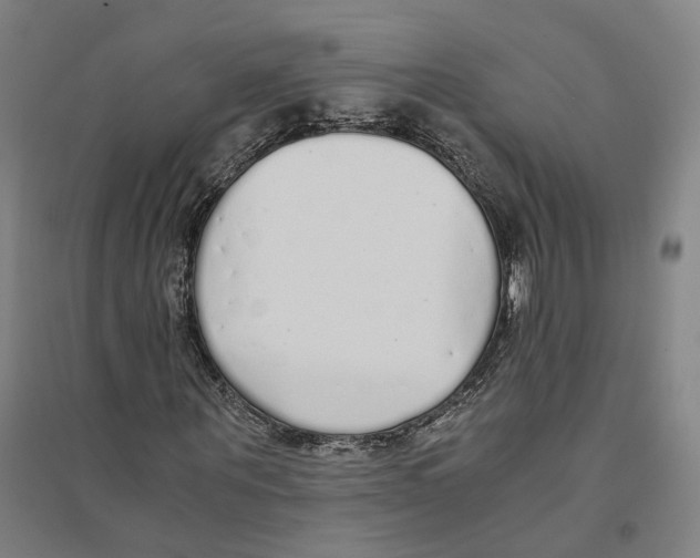 X0000094360867200711301423