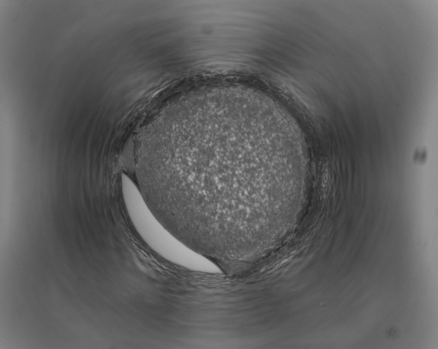 X0000094360868200711301423