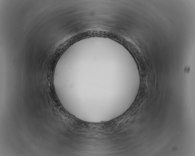 X0000094360870200711301423