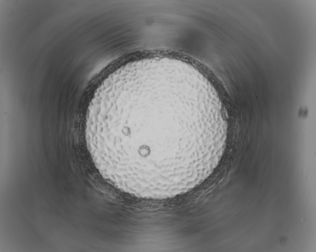 X0000094360871200711301423