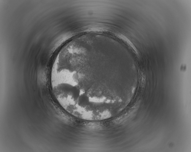 X0000094360874200711301423