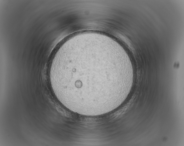 X0000094360875200711301423